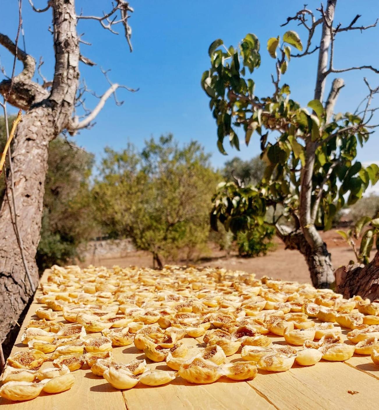 Trulli Aurasia Ostuni Εξωτερικό φωτογραφία