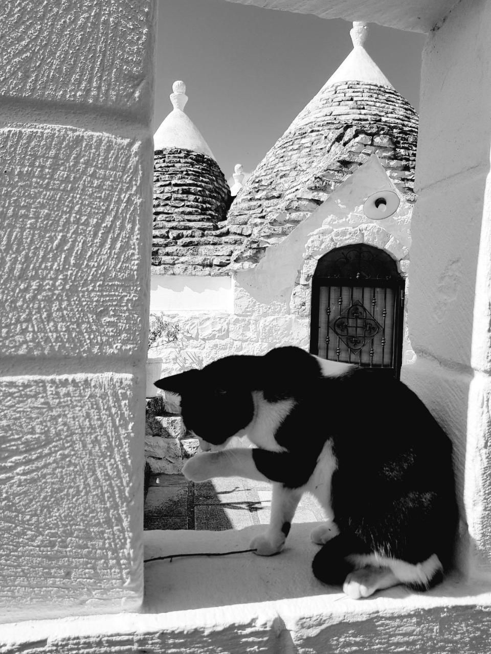 Trulli Aurasia Ostuni Εξωτερικό φωτογραφία