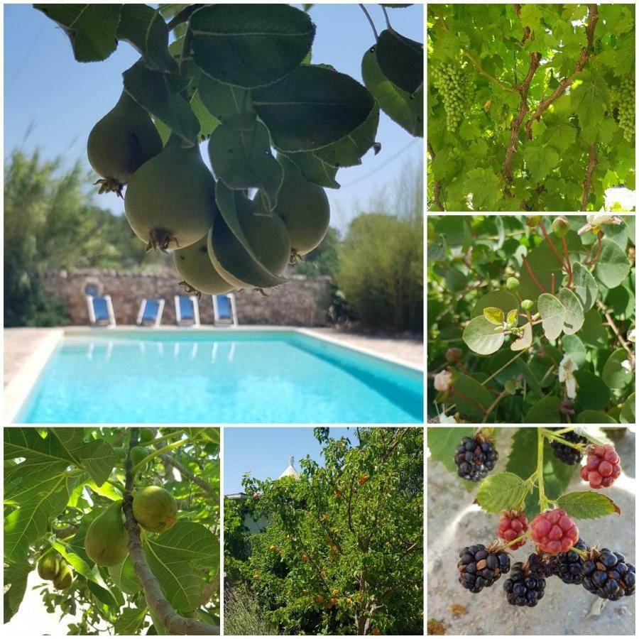 Trulli Aurasia Ostuni Εξωτερικό φωτογραφία